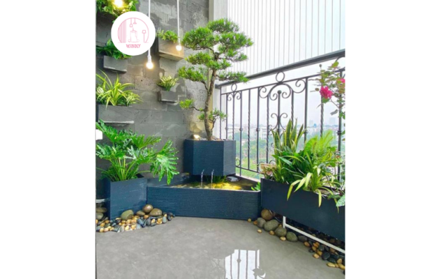Trang trí cây cảnh trên sân thượng