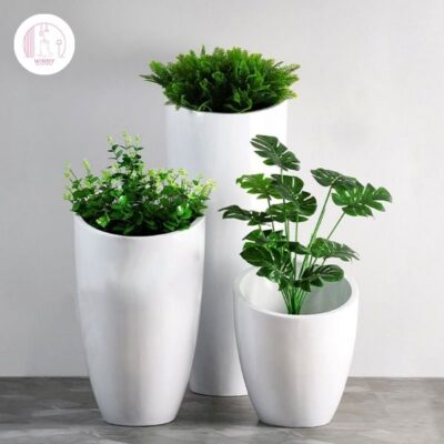 Chậu cây cảnh để bàn